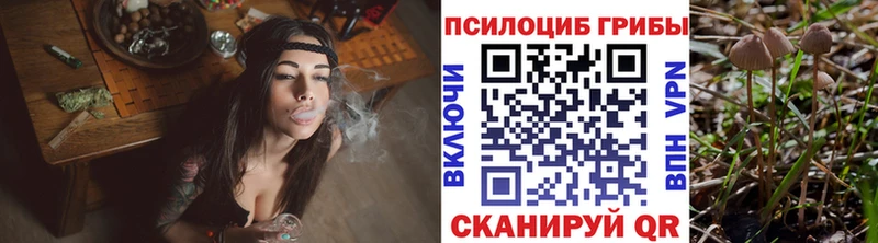 Купить  Одинцово  Псилоцибиновые грибы Magic Shrooms 